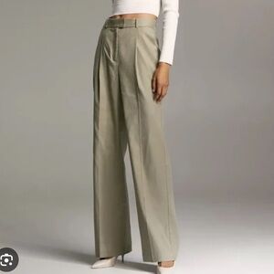 Aritzia Sadiki Pants